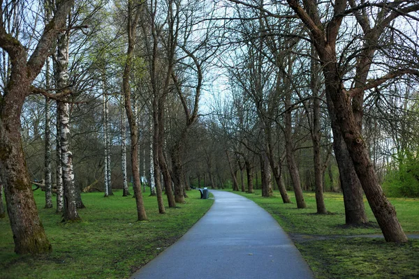 Stary park miejski w nadrzucającej pogodzie w wieczornym czasie. — Zdjęcie stockowe