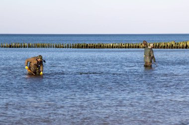 Kıyı bölgesinde deniz tabanında nesneleri için özel ekipman arama ile bilinmeyen insanlar.