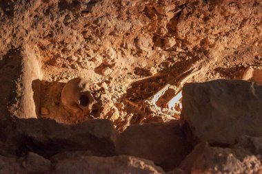 Beyrut 'taki Aziz George Ortodoks Katedrali' nin altındaki Arkeoloji Müzesinde antik insan iskeleti.