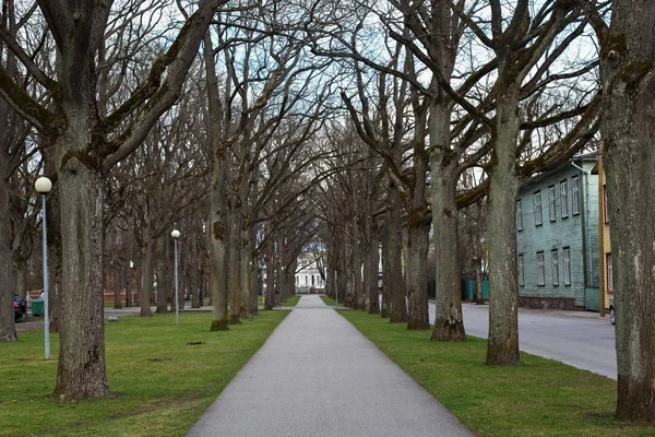 Walking Alley längs sidan av vägen i staden Parnu. — Stockfoto