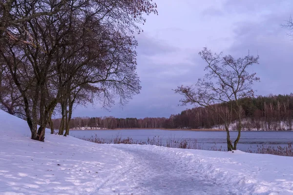 Beautiful winter landscape with coast of lake in evening time. — Stockfoto