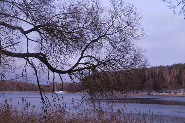 Beautiful winter landscape with lake in Trakai, Lithuania. — Stockfoto