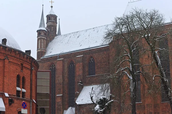 La Chiesa dell'Assunzione della Vergine Maria e il bl. Stefan Wincenty Frelichowski a Torun, Polonia. Fu costruito nel XIII - XIV secolo . — Foto Stock