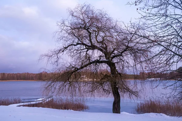 Piękny zimowy krajobraz z jeziorem w miejscowości Trakai, Litwa — Zdjęcie stockowe