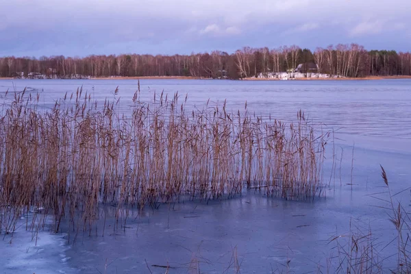 Beautiful winter landscape with lake in evening time. — Stockfoto