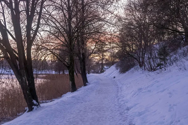 Piękny zimowy krajobraz z wybrzeżem jeziora w miejscowości Trakai, Litwa — Zdjęcie stockowe