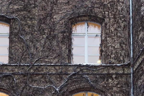 Vista de invierno de la antigua pared del edificio histórico con hiedra en la pared y ventanas con luz nocturna . — Foto de Stock