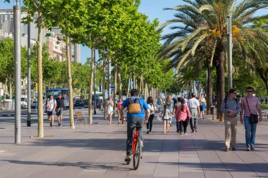 BARCELONA, SPAIN - 16 Mayıs 2017: Barcelona 'nın merkezindeki Passeig de Joan de Borbo Caddesi' ndeki bilinmeyen bisikletçi ve diğer insanlar.
