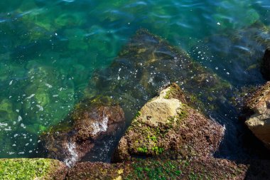 Güneşli bir günde Akdeniz 'deki taşların manzarası.