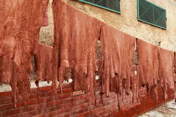 Στέγνωμα Δέρματος Στα Σχοινιά Στην Παλιά Βυρσοδεψία Του Tetouan Medina — Φωτογραφία Αρχείου
