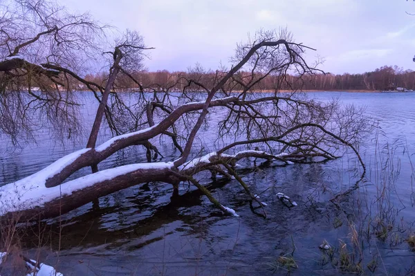 Beau Paysage Hivernal Avec Lac Trakai Lituanie Soirée — Photo