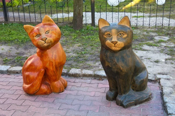 Zelenogradsk Región Kaliningrad Rusia Abril 2019 Composición Escultórica Gatos Madera — Foto de Stock