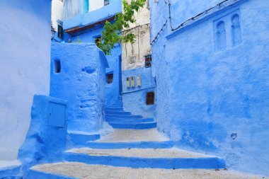 Chefchaouen, Fas 'taki Medine' nin mavi duvarlarının manzarası. Chaouen olarak da bilinen şehir, binalarının mavi tonlarıyla ünlüdür ve bu Şef 'i ziyaretçiler için çok çekici kılar..