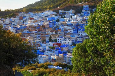 Fas 'taki Şef' in hava manzarası. Şehir binalarının mavi tonlarıyla ünlüdür ve bu Şef 'i ziyaretçiler için çok çekici kılar..