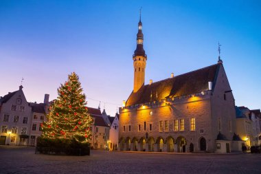 Ortaçağ yakınlarındaki Noel ağacının gece manzarası. Tallinn Belediye Binası. Xiv yüzyılda inşa edilmiş ve ilk olarak 1322 'de papaz evi ve 1372' de belediye binası olarak anılmıştır. Estonya.