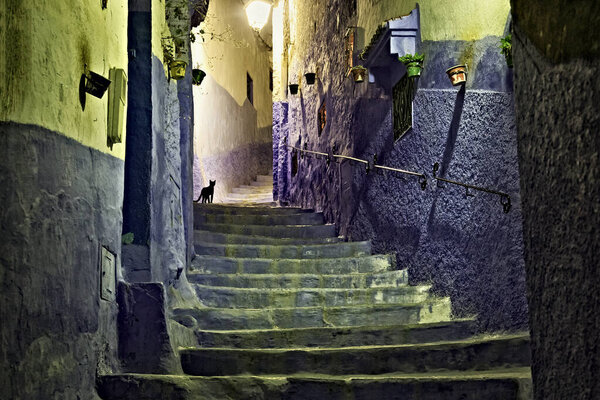 Black cat in medina of Chefchaouen, Morocco. The city is noted for its buildings in shades of blue and that makes Chefchaouen very attractive to visitors.