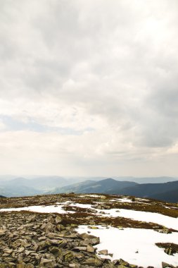 Karpatlar dağlarda yaz peyzaj.