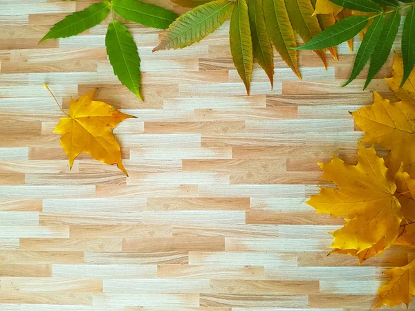 Daun musim gugur pada bingkai latar belakang kayu — Stok Foto