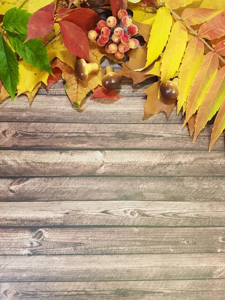 Berry maple daun bingkai papan kayu diskon vertikal — Stok Foto