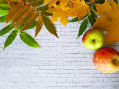 Beyaz tuğla duvar elma karede sonbahar akçaağaç yaprakları