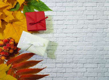 Kanada hediye kutusu beyaz tuğla duvar karede akçaağaç sonbahar yaprakları