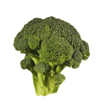 Brokoli beyaz arkaplanda izole edildi