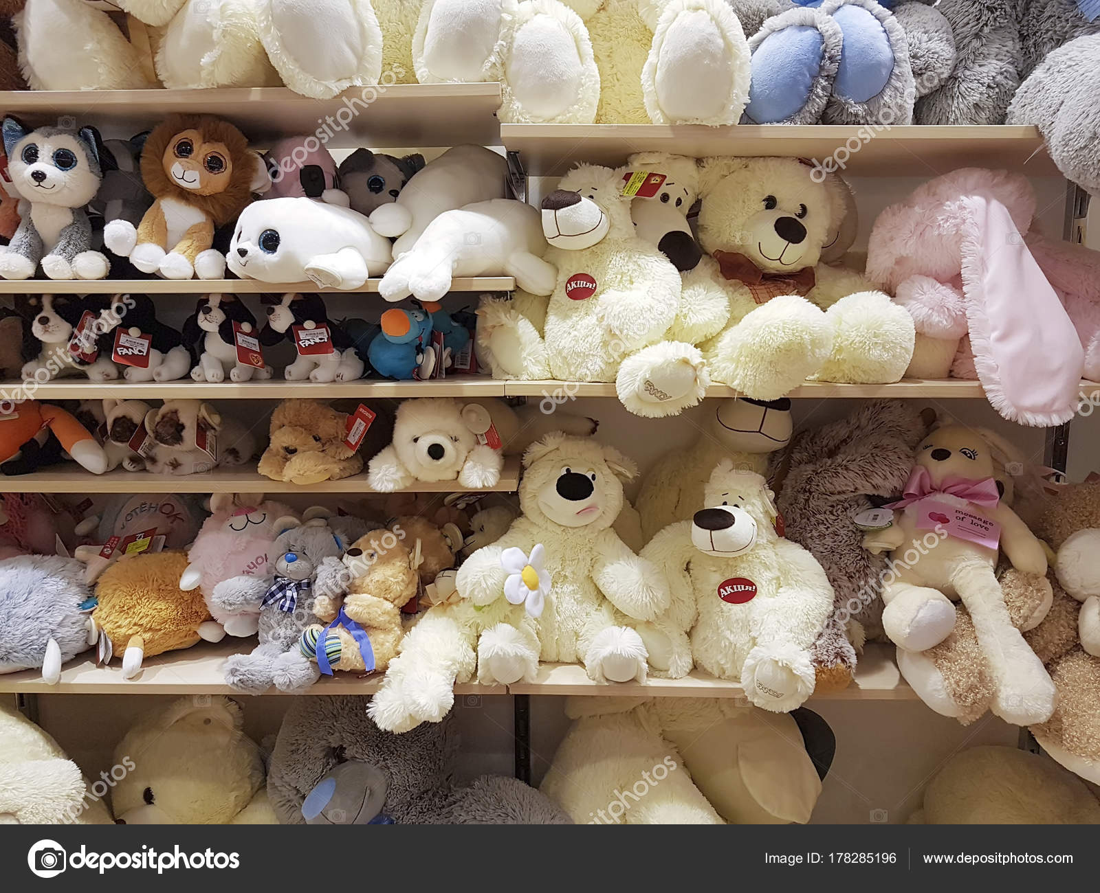 teddy bear in store