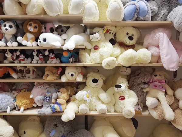 December 2017 Ukraine Kiev Teddy Bear Shelf Store — Stock Photo, Image