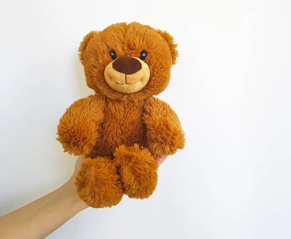 手拿着一个被隔离的泰迪熊玩具 — 图库照片