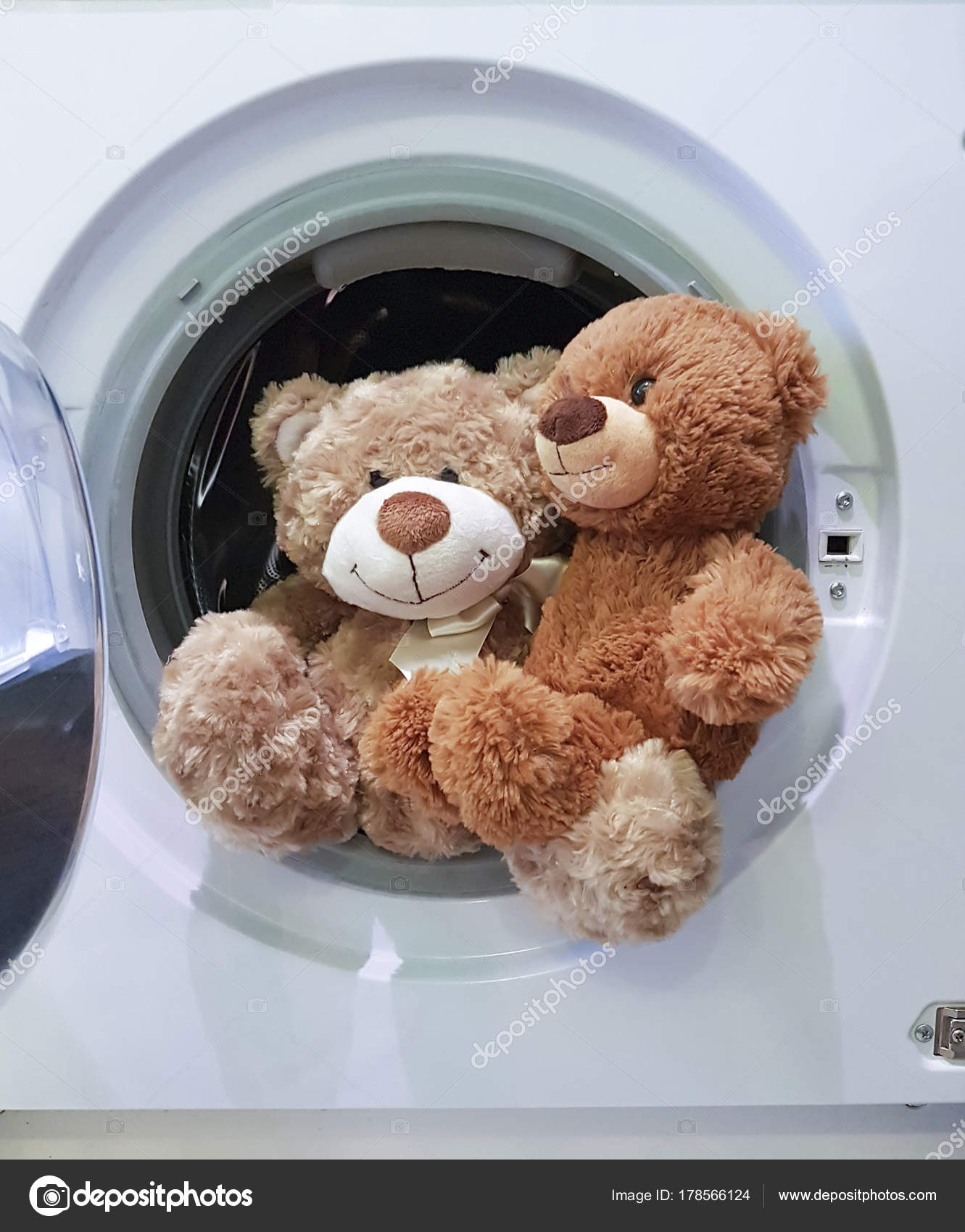 teddy bear washing machine