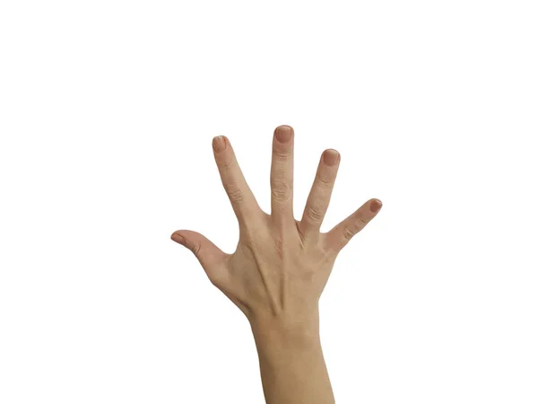 Vereinzelt Leere Offene Weibliche Hand Fünf — Stockfoto