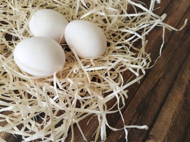 yumurta tavuk talaş ahşap pansiyon