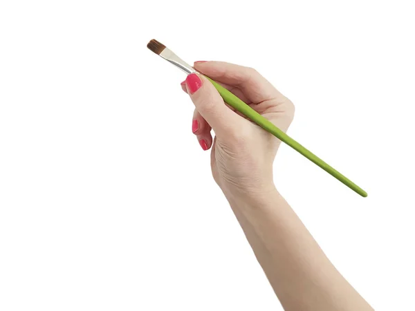Hand Woman Holding Art Brush Isolated — Stock Photo, Image