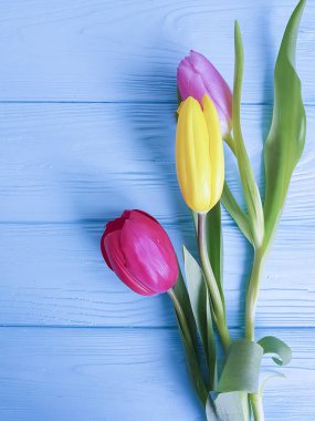 Mavi ahşap arka plan üzerinde renkli Lale buketi