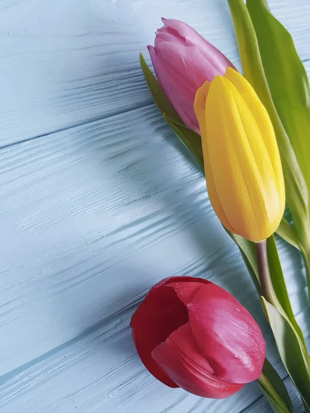 Strauß Farbiger Tulpen Auf Blauem Holzhintergrund — Stockfoto