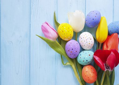 Lale Paskalya yumurtaları mavi ahşap