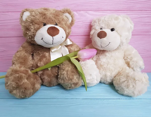 two bear toy, wooden