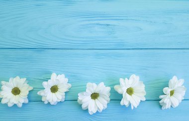 Mavi ahşap beyaz krizantem