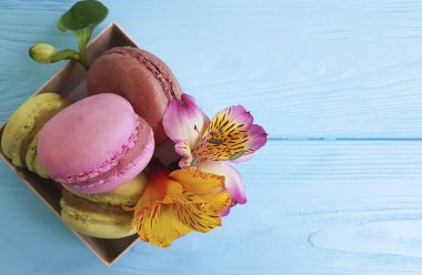 alstroemeria çiçek macaron mavi ahşap  