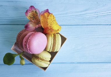 alstroemeria çiçek macaron mavi ahşap  