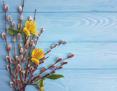 çiçek alstroemeria, mavi ahşap arka plan üzerinde söğüt