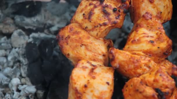 Carne Frita Uma Grelha — Vídeo de Stock