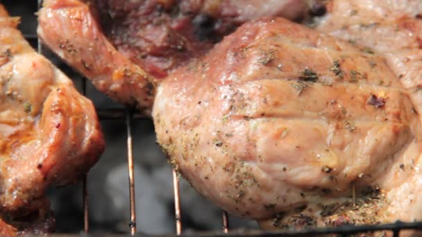 肉在炉排上煎 — 图库视频影像