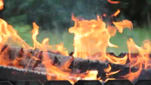 Feuer Brennt Freien — Stockvideo