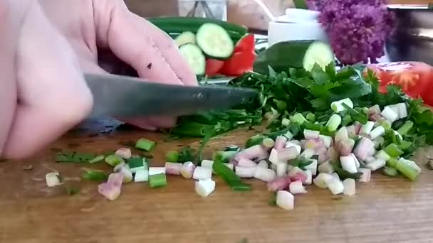 Mãos Estão Cortando Cebolas Verdes Uma Madeira — Vídeo de Stock