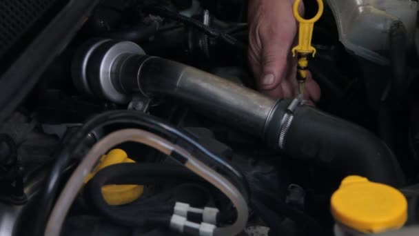 Auto Engine Oil Check — Stock Video