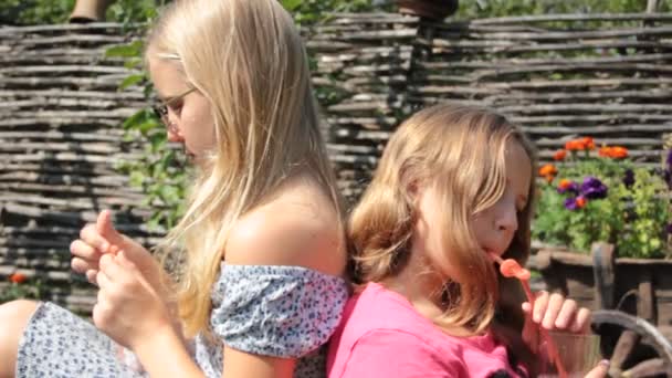 Twee Meisje Met Bril Zomer Dranken Sap — Stockvideo