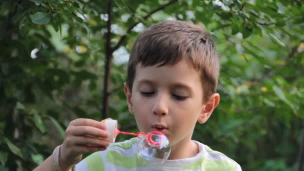 Маленький Мальчик Надувает Мыльные Пузыри Природе — стоковое видео