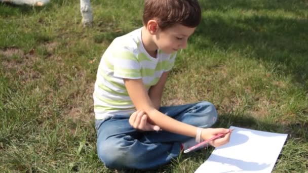 Jongen Speelt Tablet Het Gras — Stockvideo