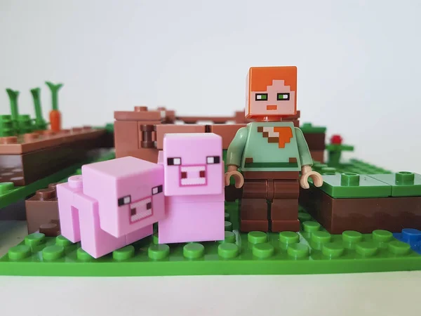 Ukrajna Kiev Február 2018 Mini Számok Lego Minecraft — Stock Fotó